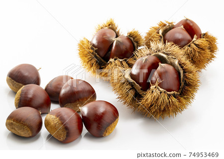 Chestnuts with white background 74953469