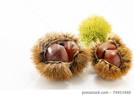 Chestnuts with white background 74953480