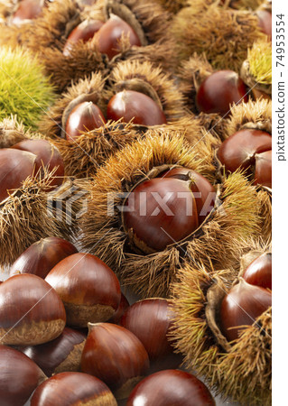 栗子和栗子和很多魷魚緊緊地排列在一起 74953554
