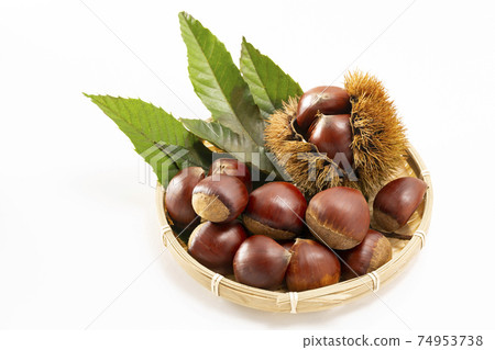 Chestnuts with leaves on a white background Chestnuts with leaves on a white background 74953738