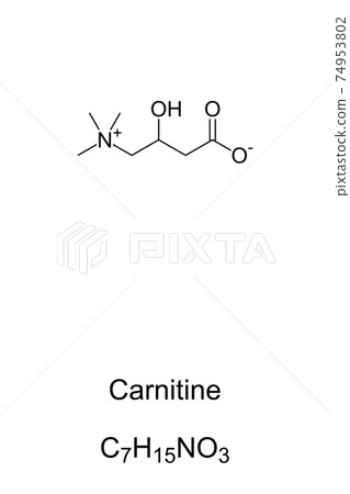 Carnitine chemical formula and skeletal structure. Compound, involved in metabolism in most mammals, plants, and some bacteria in support of energy metabolism. Illustration on white background. Vector 74953802