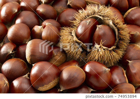 Chestnuts and chestnuts with lots of squid lined up tightly Chestnuts and chestnuts with lots of squid lined up tightly 74953894