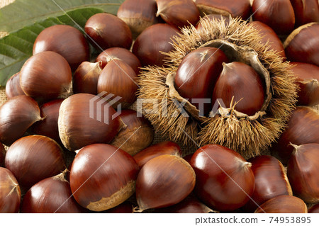 栗子和栗子和很多魷魚緊緊地排列在一起 74953895