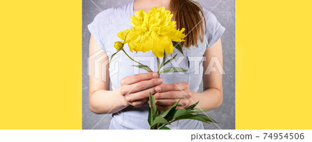 Young woman faceless in grey T-shirt holding yellow peony close up on grey and yellow Illumination backgrounds. Festive banner in trendy colors of 2021 for Mother's day or Women holiday. Copy space. 74954506