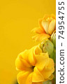 Yellow calanchoe flowers. Yellow flowers on yellow background.Closeup .Copy space 74954755