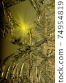 Snow flake macro shot 74954819