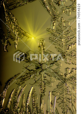 Snow flake macro shot Snow flake macro shot 74954819