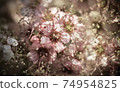 Decorative pink flowers  74954825