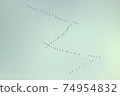 Two bird hooks in the sky in autumn  74954832