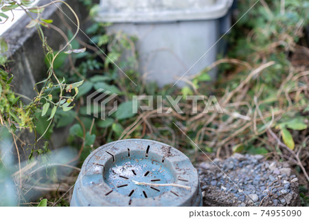 Clean up the backyard Clean up the backyard 74955090