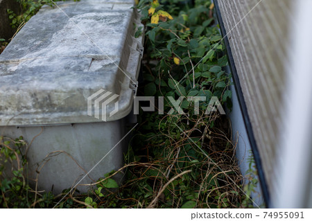 Clean up the backyard Clean up the backyard 74955091