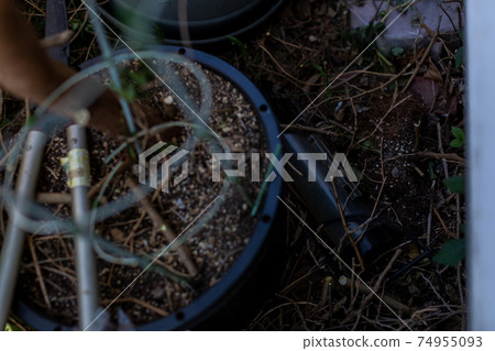 Clean up the backyard 74955093