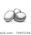 three eggs vintage engraving. black ink isolated 74955248