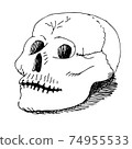 hand drawn skull vintage engraving. black ink 74955533