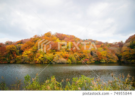 白世界的秋天,世界遺產,秋葉的十二個湖,落口之池 白世界的秋天,世界遺產,秋葉的十二個湖,落口之池 74955844