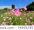 Cosmos and five-storied pagoda 74956785