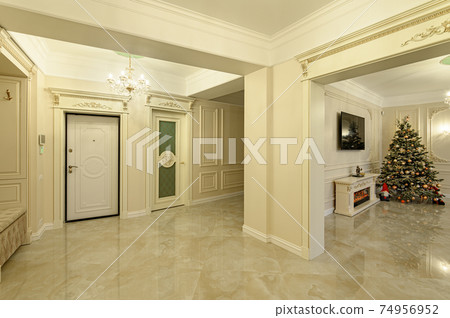 Modern luxury apartment interior with living room and entrance hall Modern luxury apartment interior with living room and entrance hall 74956952