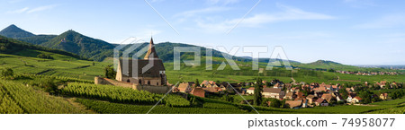 Church and vineyards of Saint-Jacques-le-Major in Hunawihr, Alsace (France) Church and vineyards of Saint-Jacques-le-Major in Hunawihr, Alsace (France) 74958077