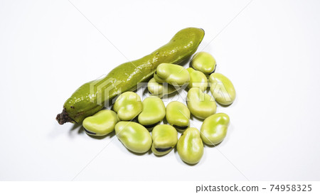 蠶豆白色背景 74958325