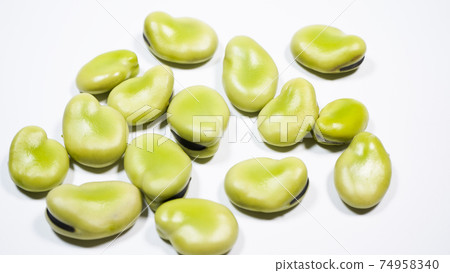 Broad beans white background Broad beans white background 74958340