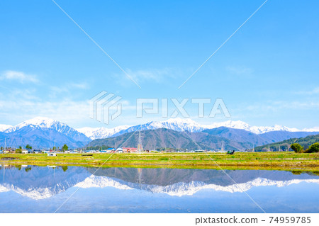 Touring (Spring): Paddy fields in Azumino and the Northern Alps 74959785