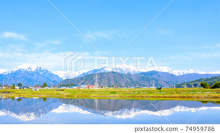 Touring (Spring): Paddy fields in Azumino and the Northern Alps 74959786