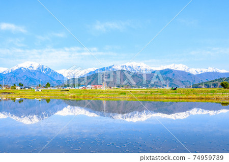Touring (Spring): Paddy fields in Azumino and the Northern Alps 74959789