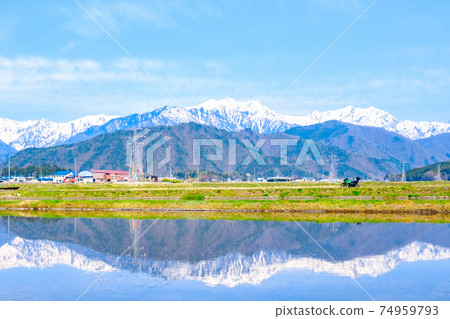 Touring (Spring): Paddy fields in Azumino and the Northern Alps Touring (Spring): Paddy fields in Azumino and the Northern Alps 74959793