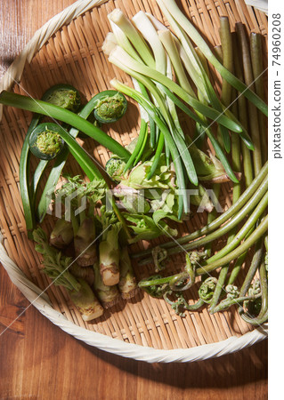 Wild plants served in a colander 74960208