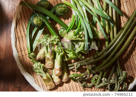 Wild plants served in a colander 74960211
