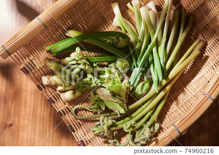 用漏勺盛放野生植物 74960216