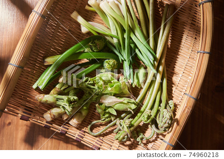 用漏勺盛放野生植物 74960218
