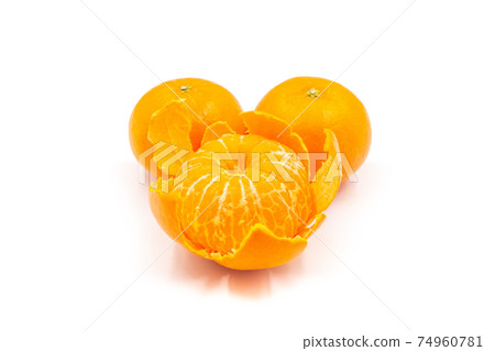 佐賀縣產橘子[Hamasaki] 74960781