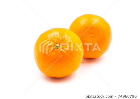 Mandarin oranges from Saga Prefecture [Hamasaki] 74960790