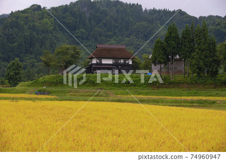Rice terraces in Tokamachi City Niigata, Niigata Prefecture Rice terraces in Tokamachi City Niigata, Niigata Prefecture 74960947