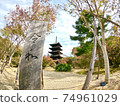 Five-story pagoda of Ninnaji Temple in Kyoto 74961029