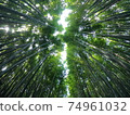 Kyoto Sagano bamboo grove road 74961032