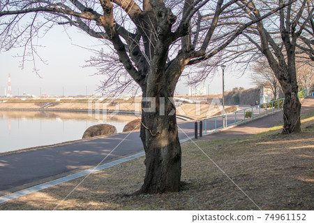 東京都足立區宮城悠遊宮城公園 東京都足立區宮城悠遊宮城公園 74961152