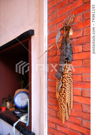 紅磚牆,農作物,高粱,壁 74961195