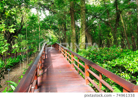 台北市,行政院農業委員會林業試驗所,林業試驗所,植物園,公園,步道 74961338