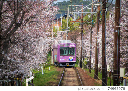Storm electric cherry tunnel 74962976