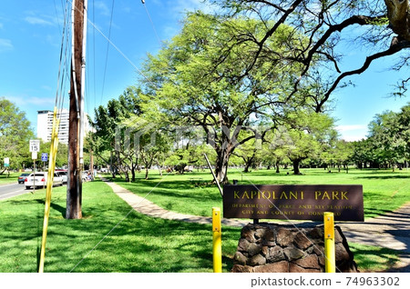 夏威夷的假期 74963302