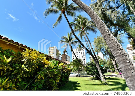 夏威夷的假期 74963303