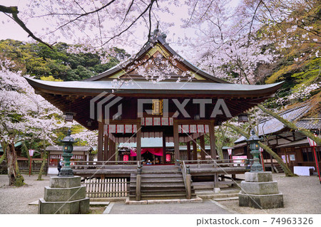 金崎春天 金崎春天 74963326