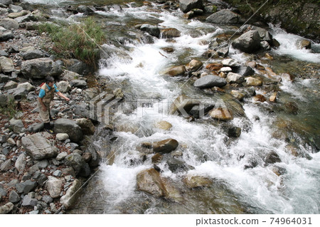 A female angler is aiming for a yamame trout and a char in a strong mountain stream and is putting out a rod. 74964031
