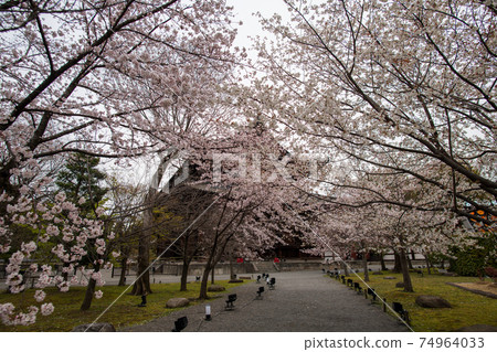 Toji Spring Toji Spring 74964033