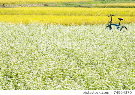 弘山高原自行車圖像 74964370