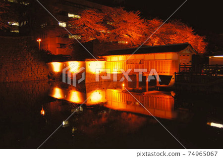 Fukui Prefectural Office, Moat Sakura Season-Spring 74965067