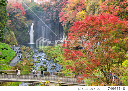 Shiraito Falls Autumn 2020 74965148