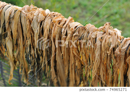 Hakka dishes, blessed dishes, mustard greens, blessed vegetables festival, dried plums, agriculture, crops Hakka dishes, blessed dishes, mustard greens, blessed vegetables festival, dried plums, agriculture, crops 74965271